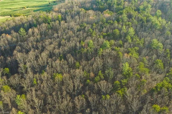 $169,950 | Tbd Lot 1 Tbd Road, Taylorsville, NC 28681