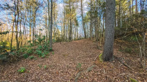 $169,950 | Tbd Lot 1 Tbd Road, Taylorsville, NC 28681