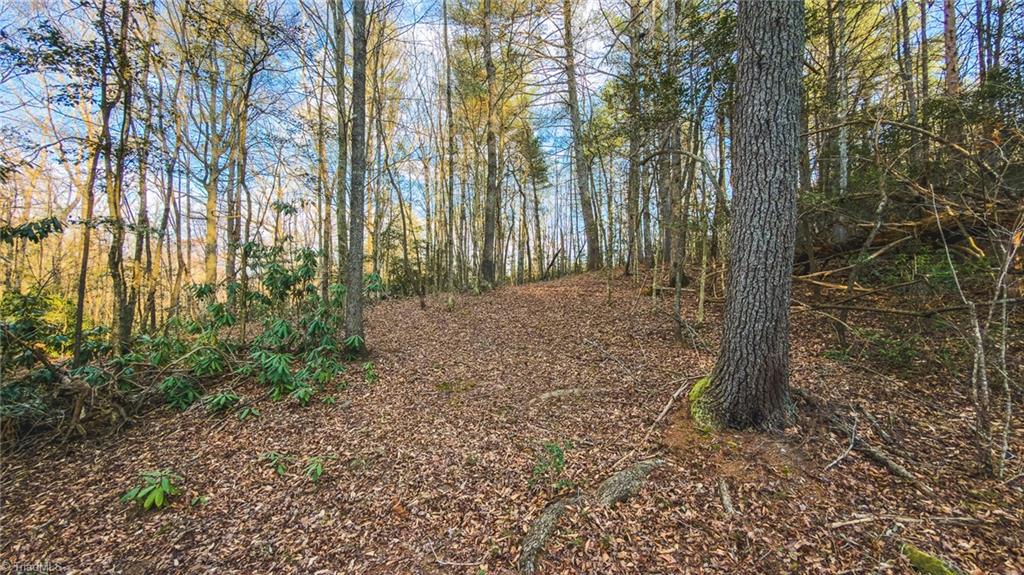 Tbd Lot 1 Tbd Road Taylorsville, NC 28681 - Photo 10 of 20
