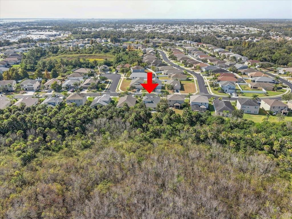 4006 91st Avenue East Parrish, FL 34219 - Photo 45 of 48 a view of city and mountain