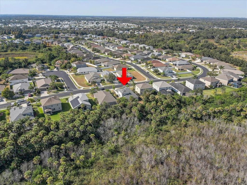 4006 91st Avenue East Parrish, FL 34219 - Photo 46 of 48 an aerial view of residential houses with city and lake view