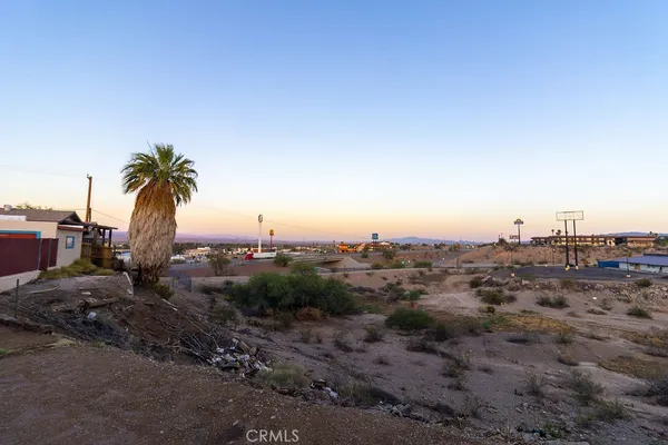 a view of a dry yard with trees