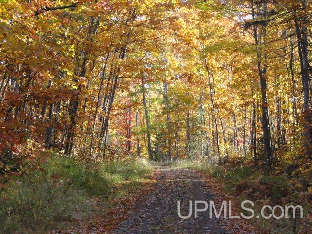 Tbd Tbd Off Townline Road Lanse, MI 49946 - Photo 6 of 18