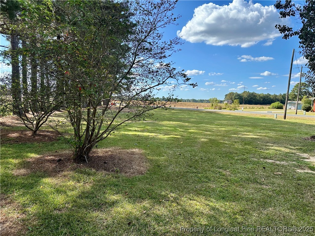 2168 Bloomingdale Road Orrum, NC 28369 - Photo 5 of 15 Gallery Image 5