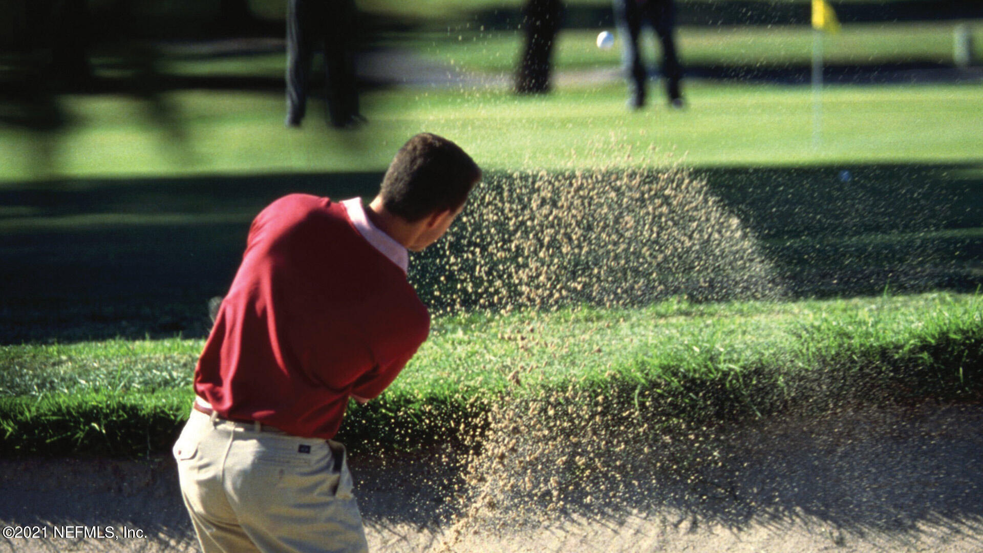 571 Morgans Treasure Road St. Augustine, FL 32084 - Photo 12 of 17 a view of a backyard