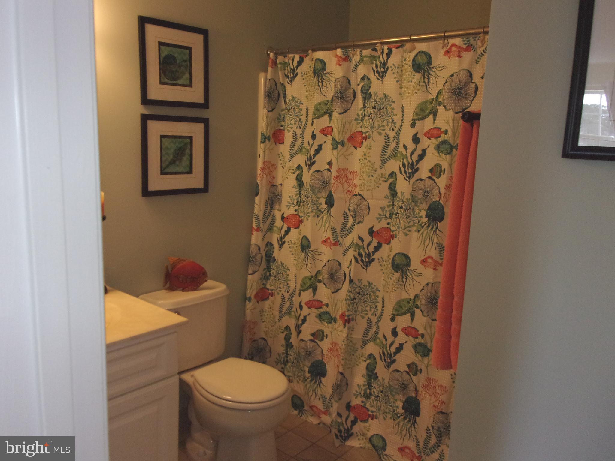 30397 Pavilion Drive, Unit 105 Ocean View, DE 19970 - Photo 7 of 34 Hallway Bath #1