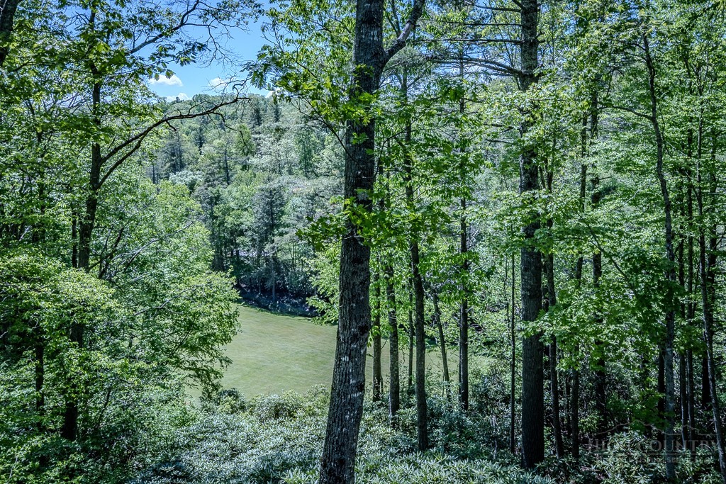 173 Laurel Brook Road Newland, NC 28657 - Photo 12 of 49