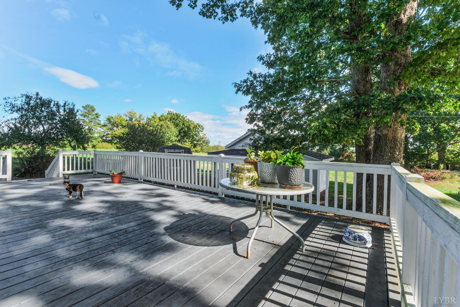 200 Bradner Road Charlotte Court House, VA 23923 - Photo 6 of 32