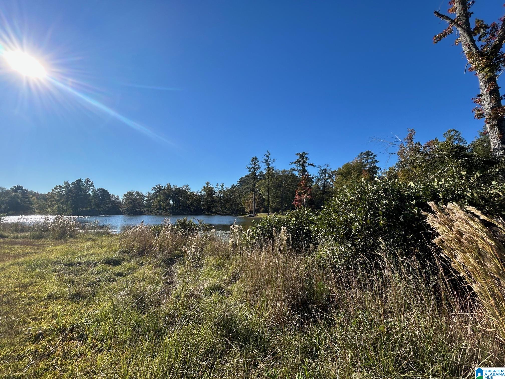 0 Rockyview Road, Unit X West Blocton, AL 35184 - Photo 9 of 11