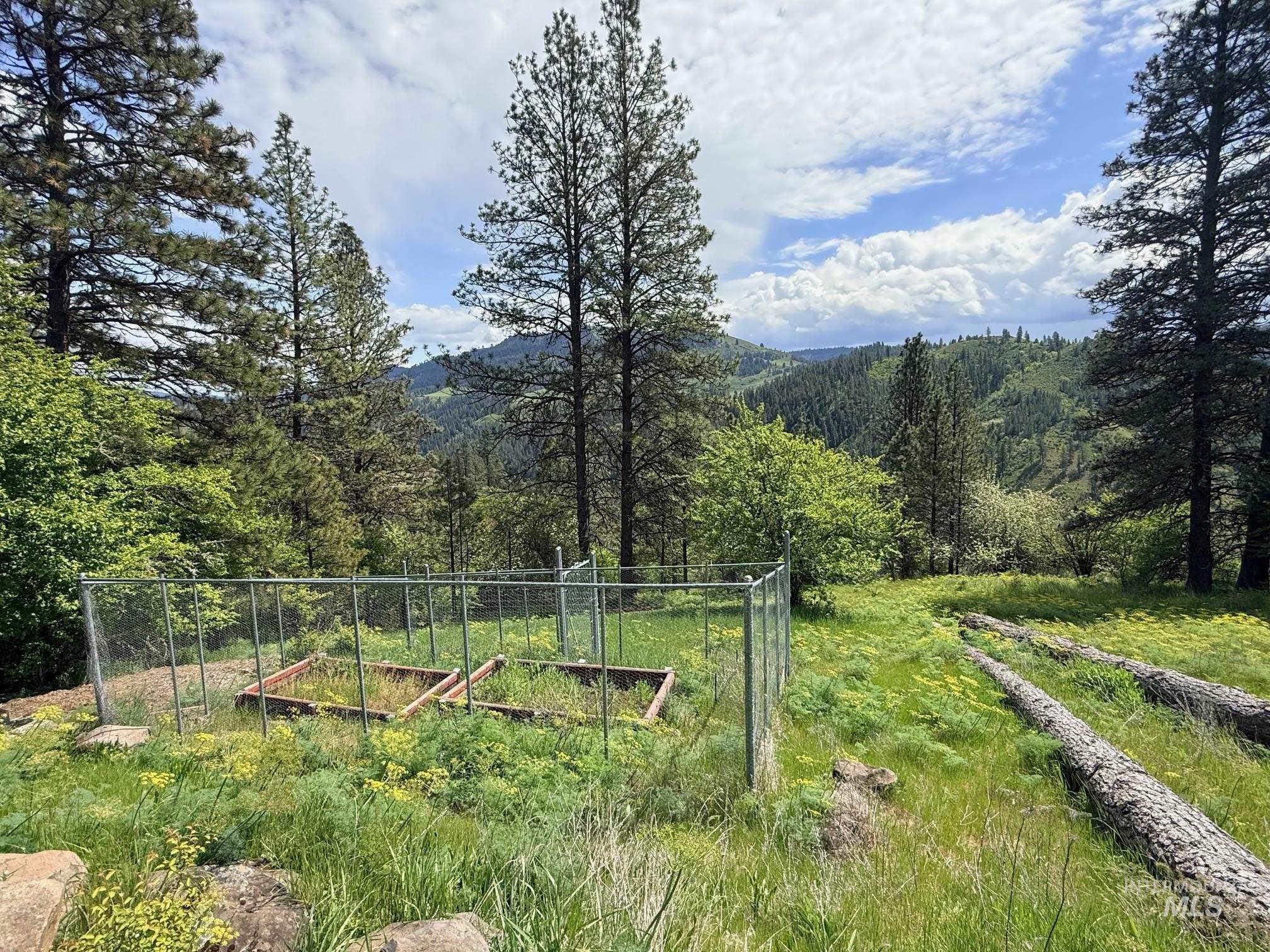 620 Old Peck Grade Lenore, ID 83541 - Photo 39 of 45
