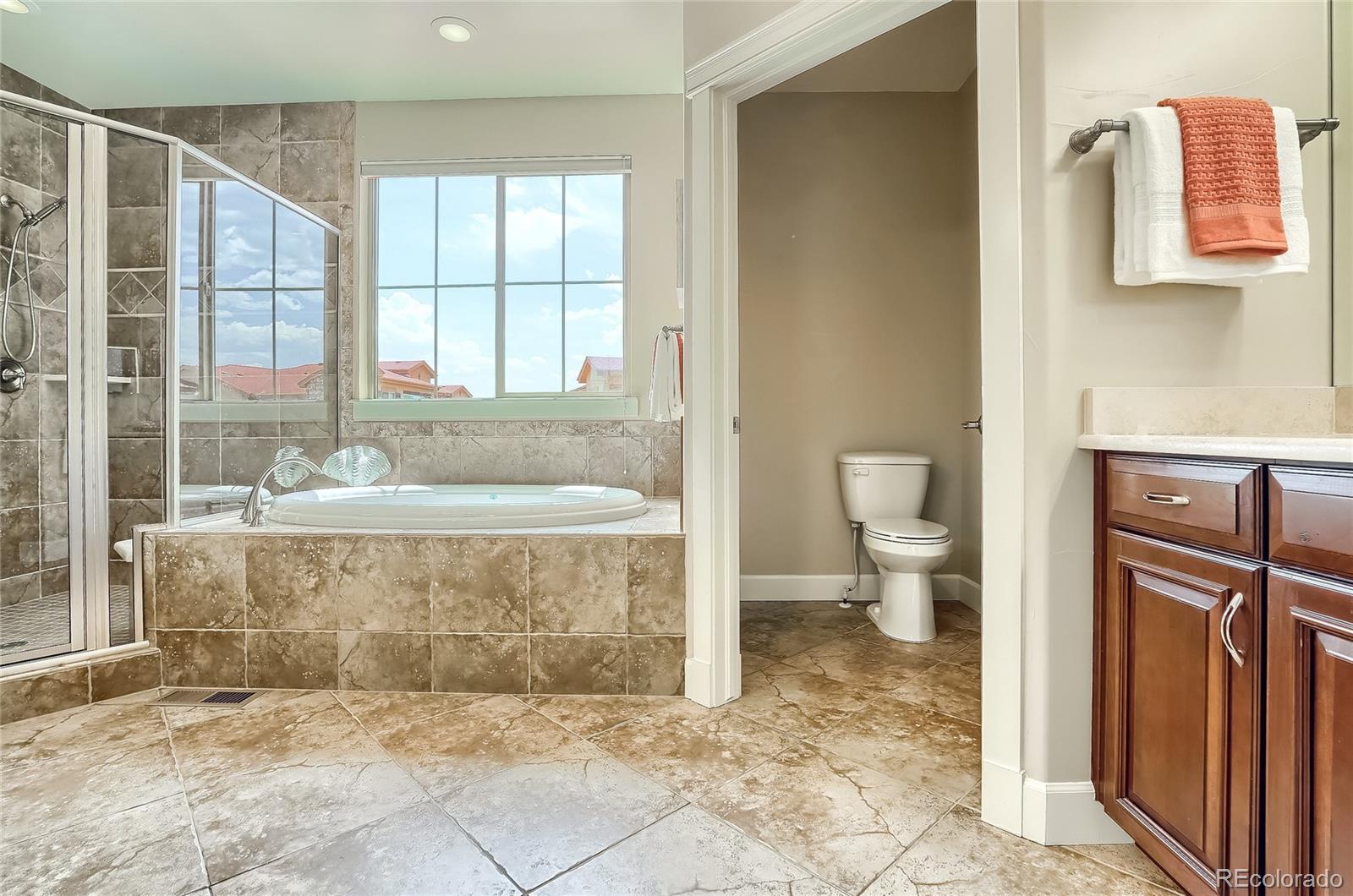 2363 Primo Road, Unit E Highlands Ranch, CO 80129 - Photo 23 of 36 a bathroom with a granite countertop sink a toilet and shower