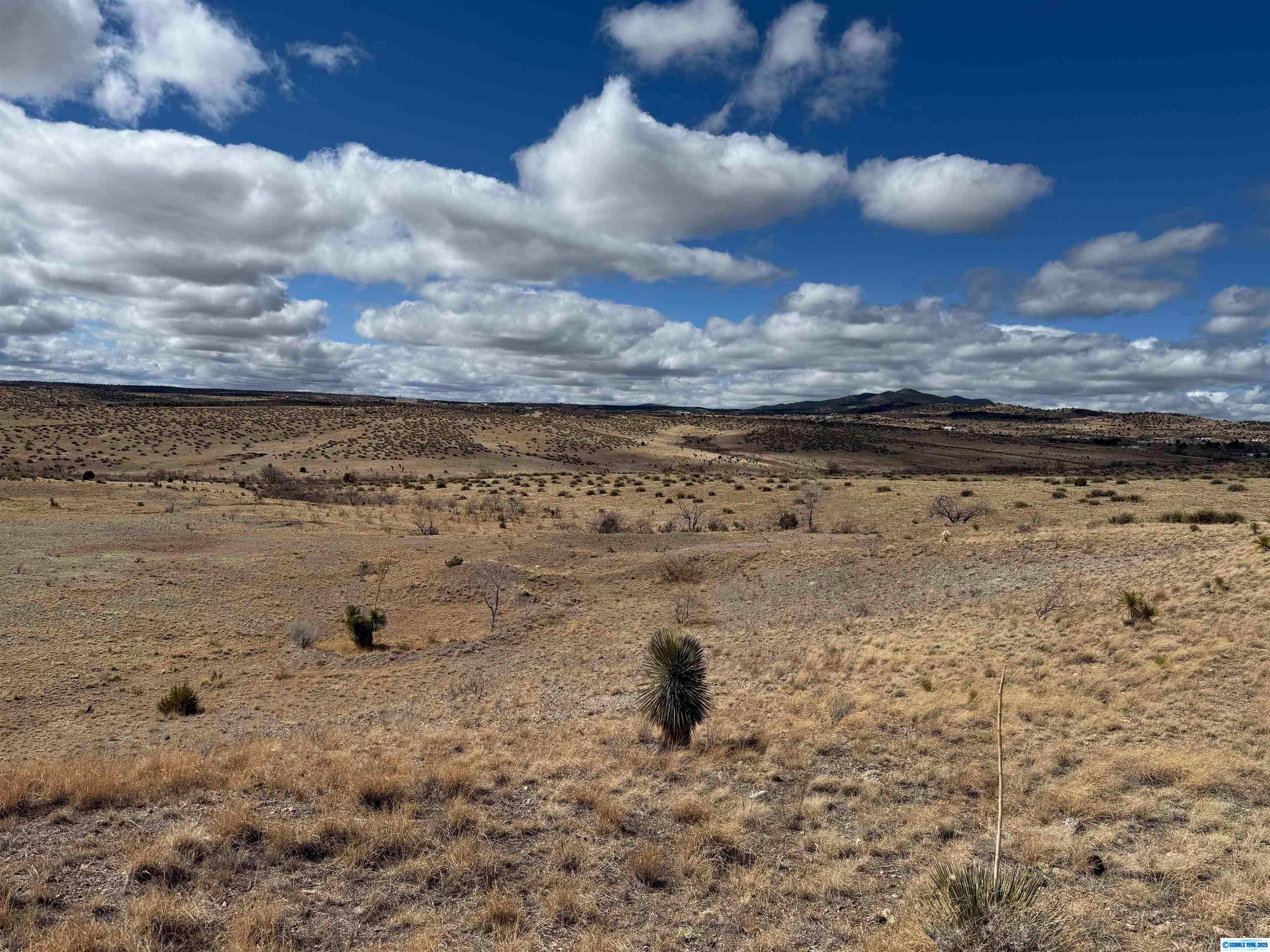Xxxx Ridge Road Silver City, NM 88061 - Photo 1 of 4 Gallery Image 1