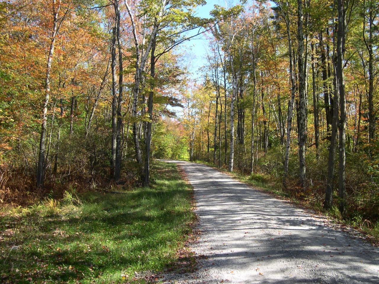 Lot #5 Algerie Road Becket, MA 01223 - Photo 4 of 9 a view of a yard with trees