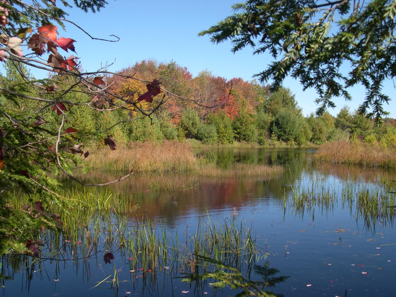 Lot #5 Algerie Road Becket, MA 01223 - Photo 9 of 9 a view of lake
