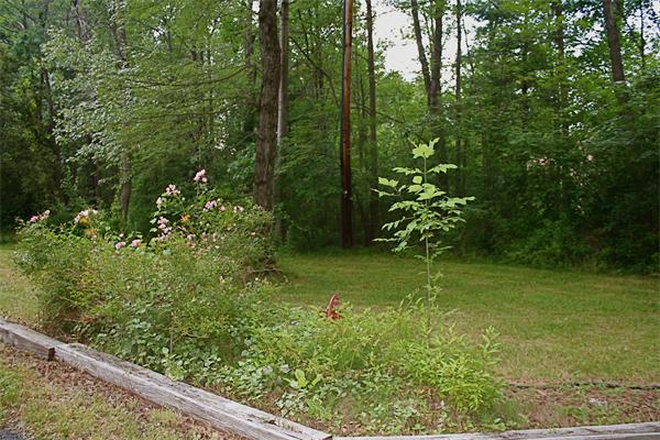 191 Ames Road Hampden, MA 01036 - Photo 3 of 16