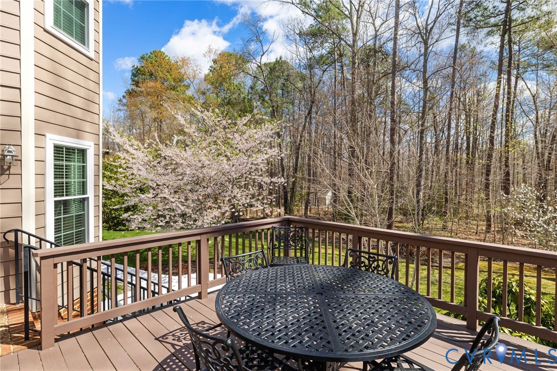 13301 Tipple Point Road Midlothian, VA 23114 - Photo 38 of 53