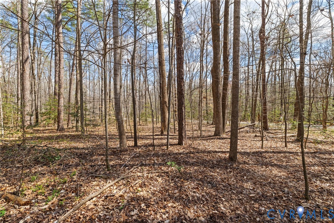 13301 Tipple Point Road Midlothian, VA 23114 - Photo 42 of 53