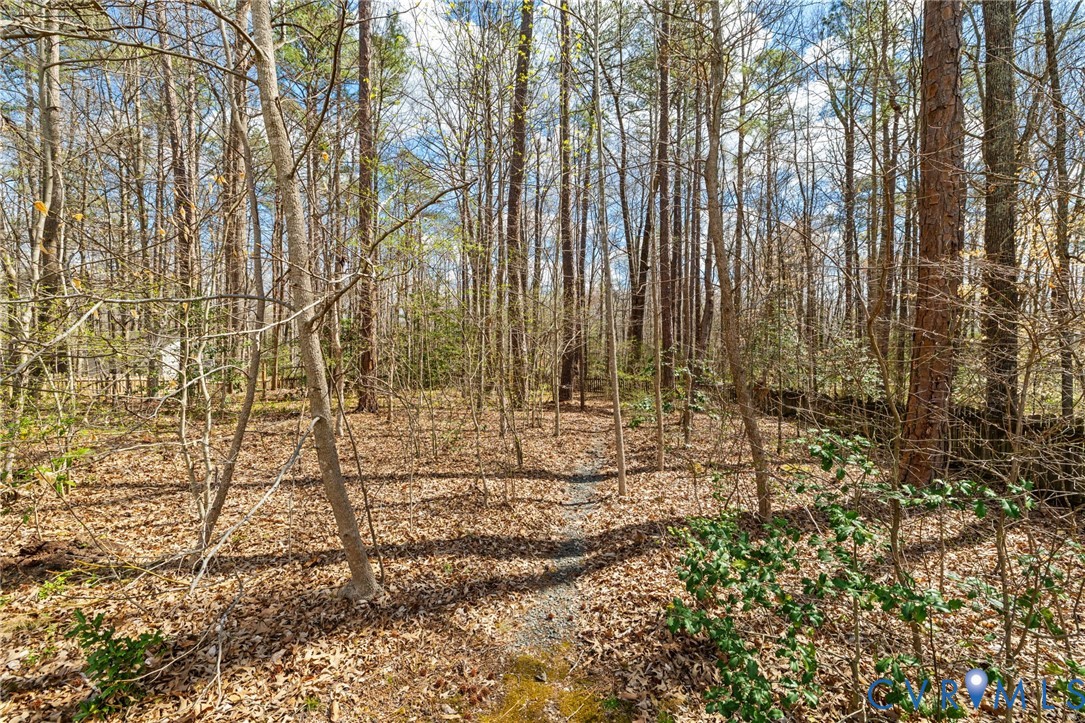 13301 Tipple Point Road Midlothian, VA 23114 - Photo 43 of 53