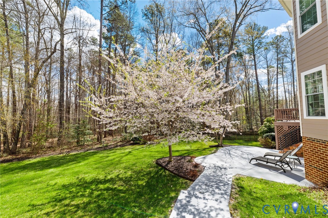 13301 Tipple Point Road Midlothian, VA 23114 - Photo 45 of 53