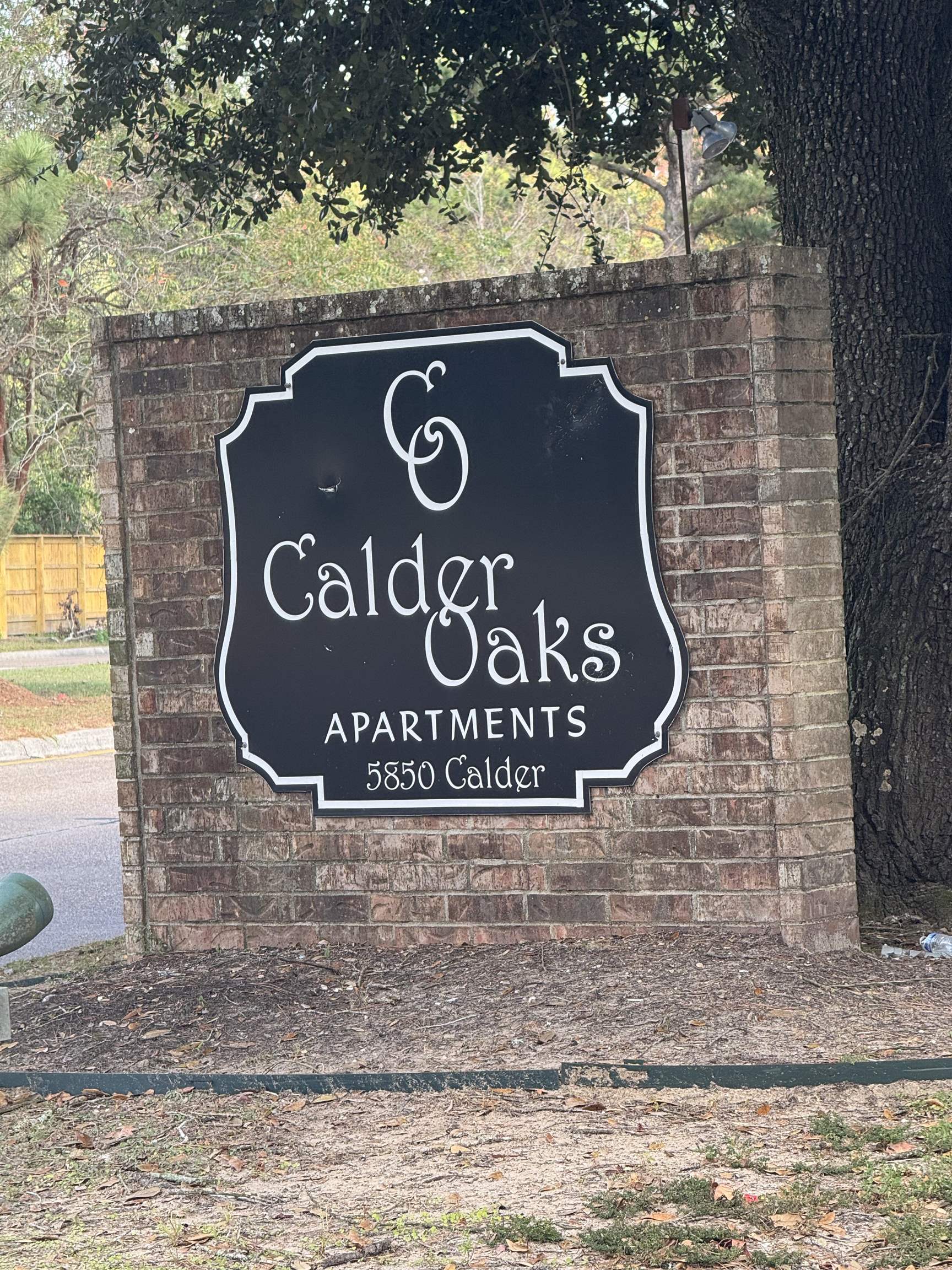 5850 Calder Avenue, Unit 213 Beaumont, TX 77706 - Photo 10 of 11