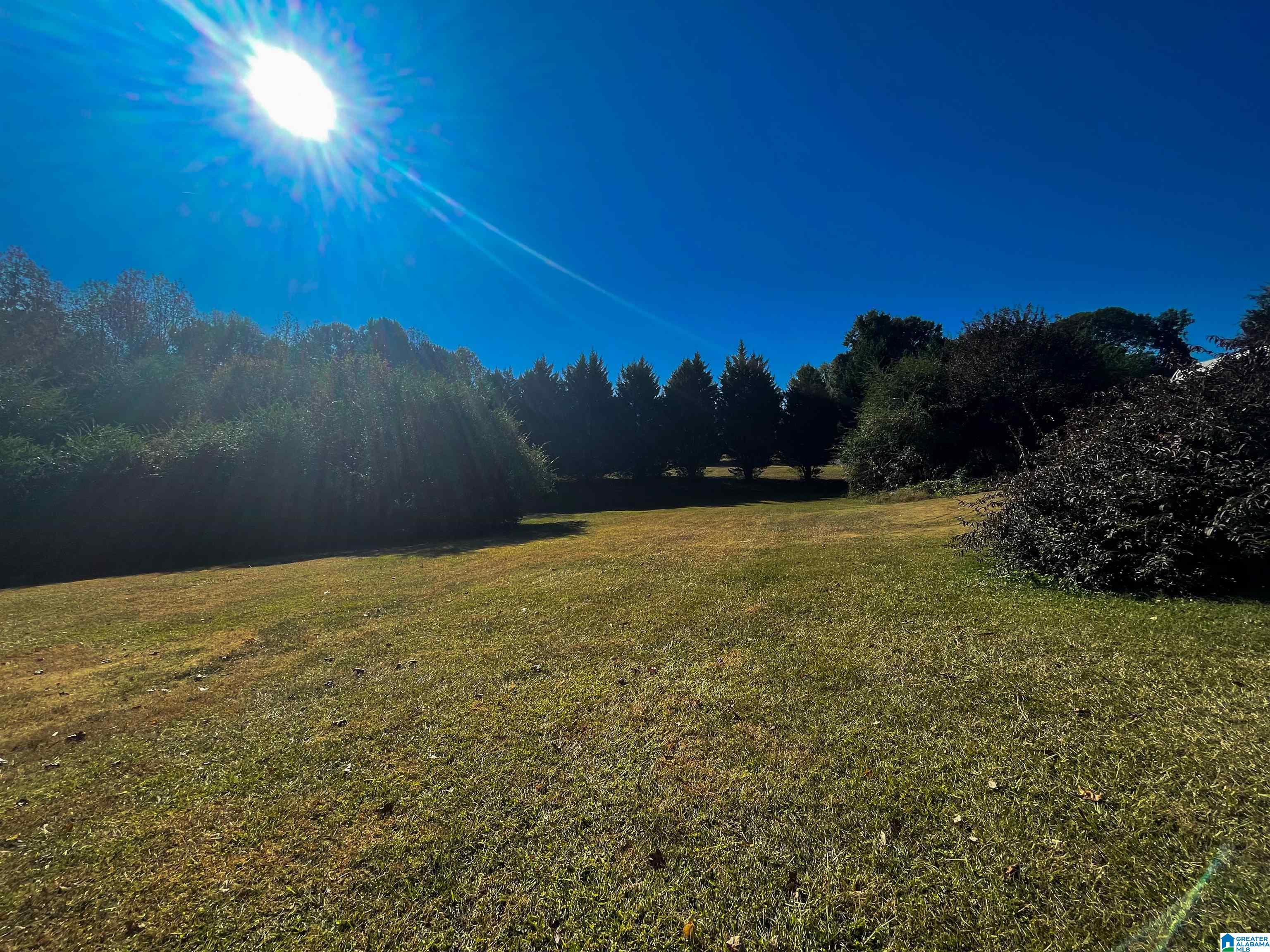 171 Alabaster Drive Winfield, AL 35594 - Photo 24 of 24