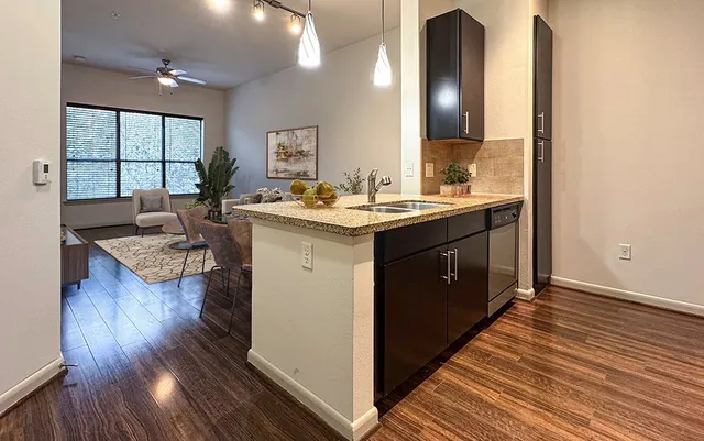 $1,486 | 306 McGowen Street, Unit 1222, Houston, TX 77006