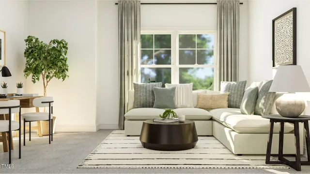 a living room with furniture and a potted plant