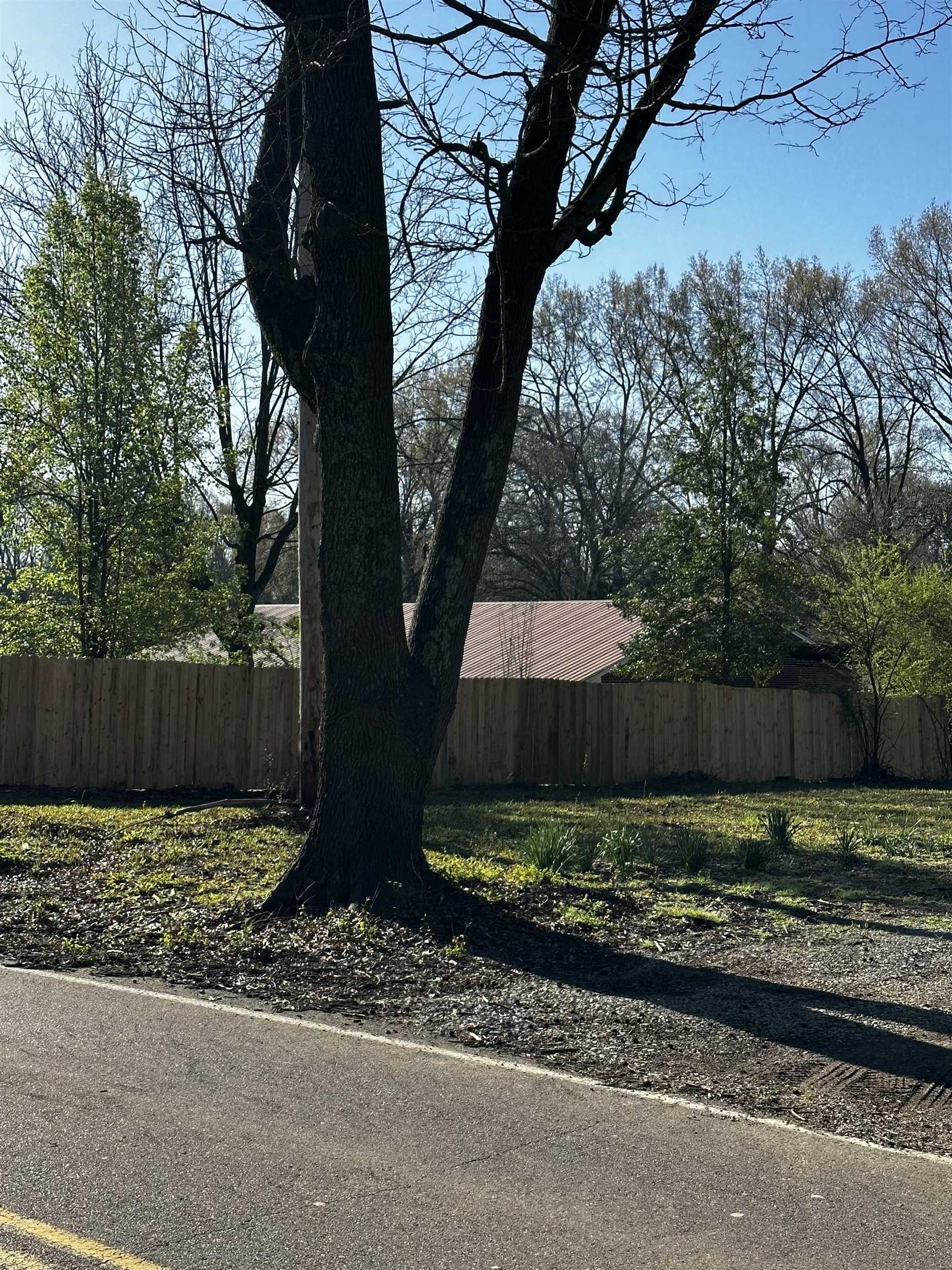 2383 Fite Road Memphis, TN 38127 - Photo 5 of 7 Gallery Image 5
