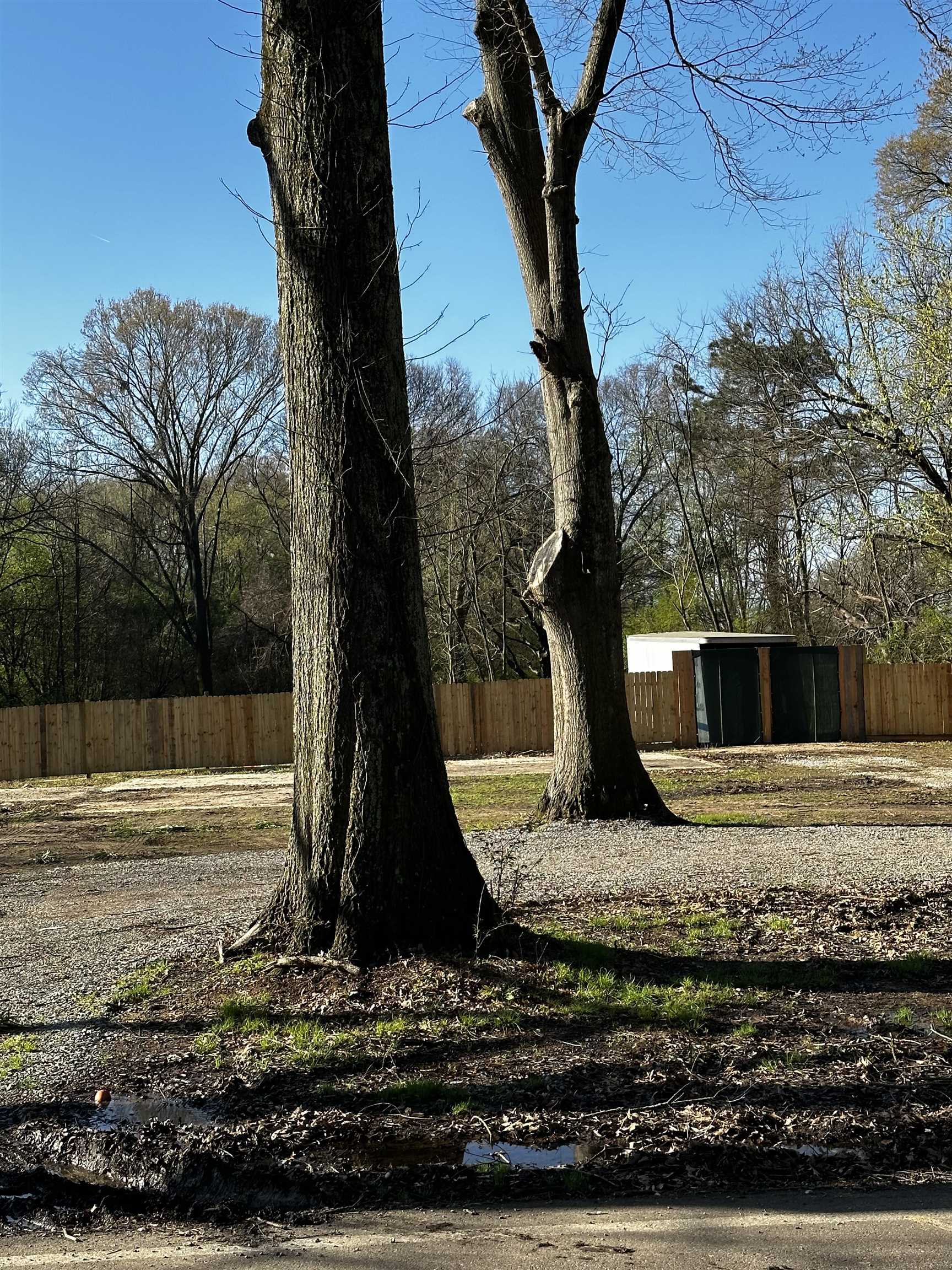 2383 Fite Road Memphis, TN 38127 - Photo 6 of 7 Gallery Image 6