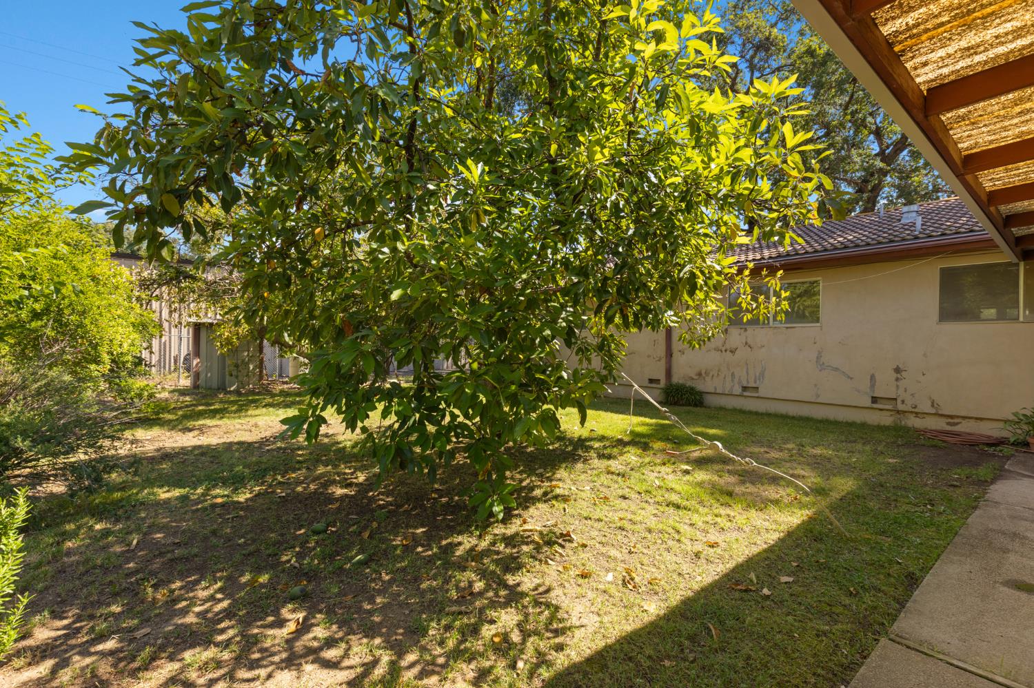 1625 Kofford Road Gridley, CA 95948 - Photo 47 of 53