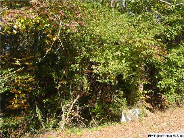 Old Choccolocco Road, Unit 73 Anniston, AL 36207 - Photo 7 of 30
