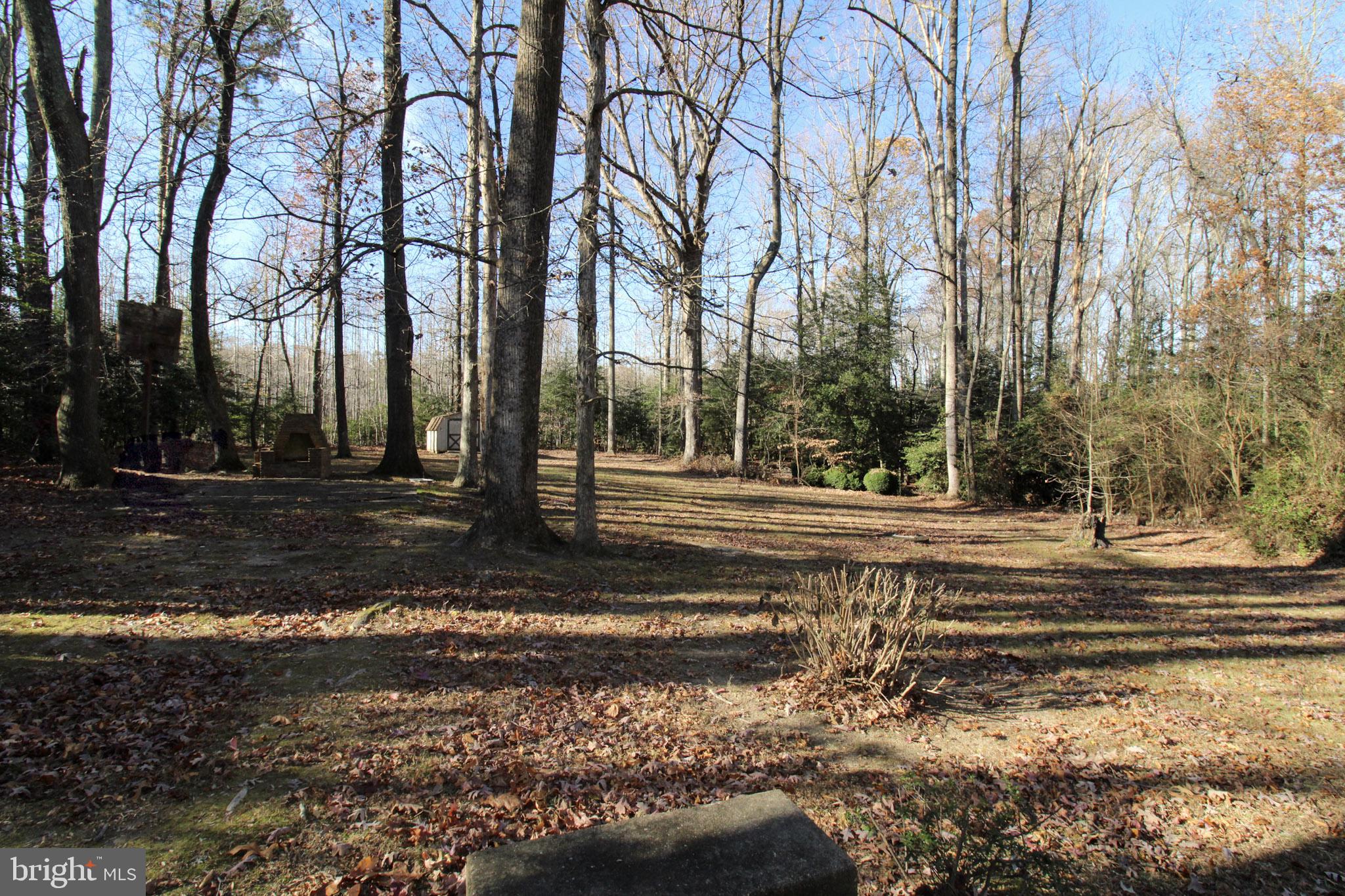 245 Zacata Road Montross, VA 22520 - Photo 3 of 15 Gallery Image 3