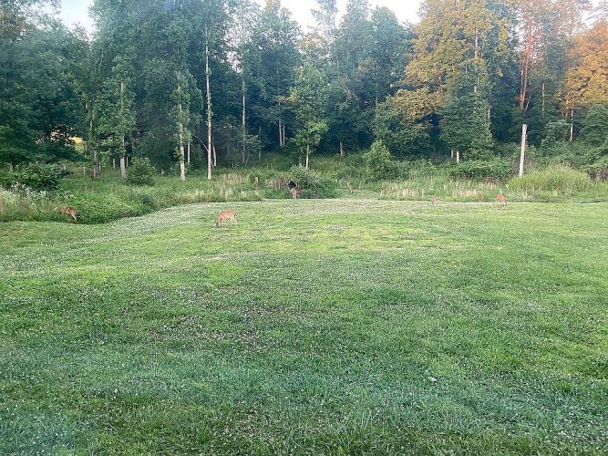 390 Sparkman Town Road Rock Island, TN 38581 - Photo 4 of 16