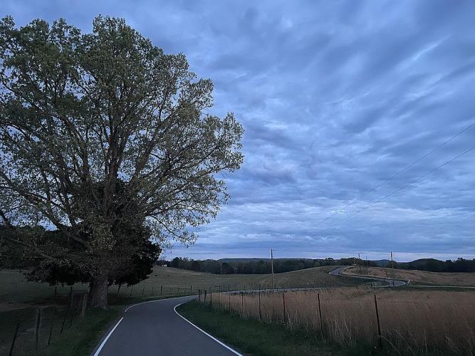 390 Sparkman Town Road Rock Island, TN 38581 - Photo 10 of 16