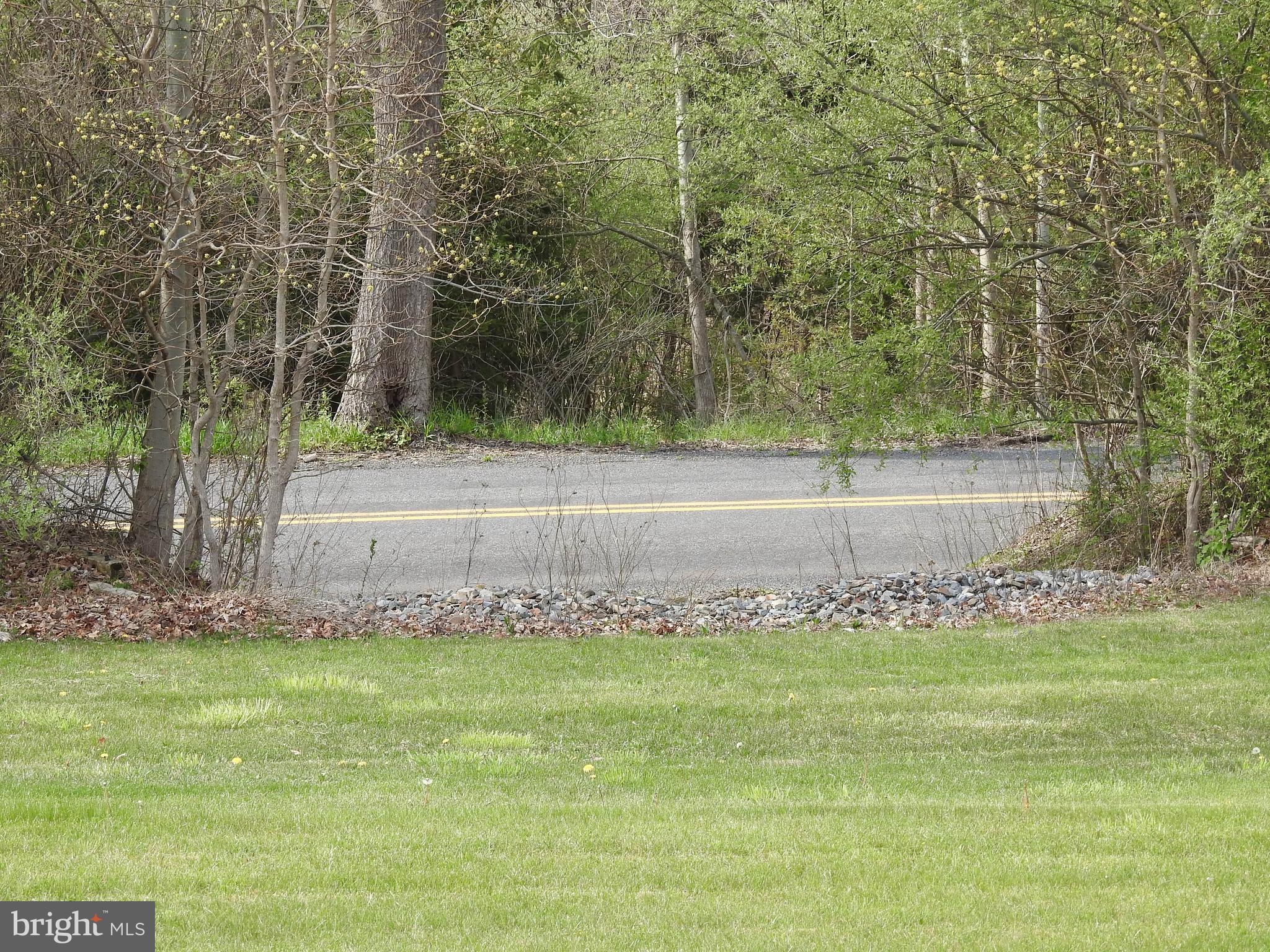 Lot 4 Rettinger Road Halifax, PA 17032 - Photo 8 of 9 Gallery Image 8