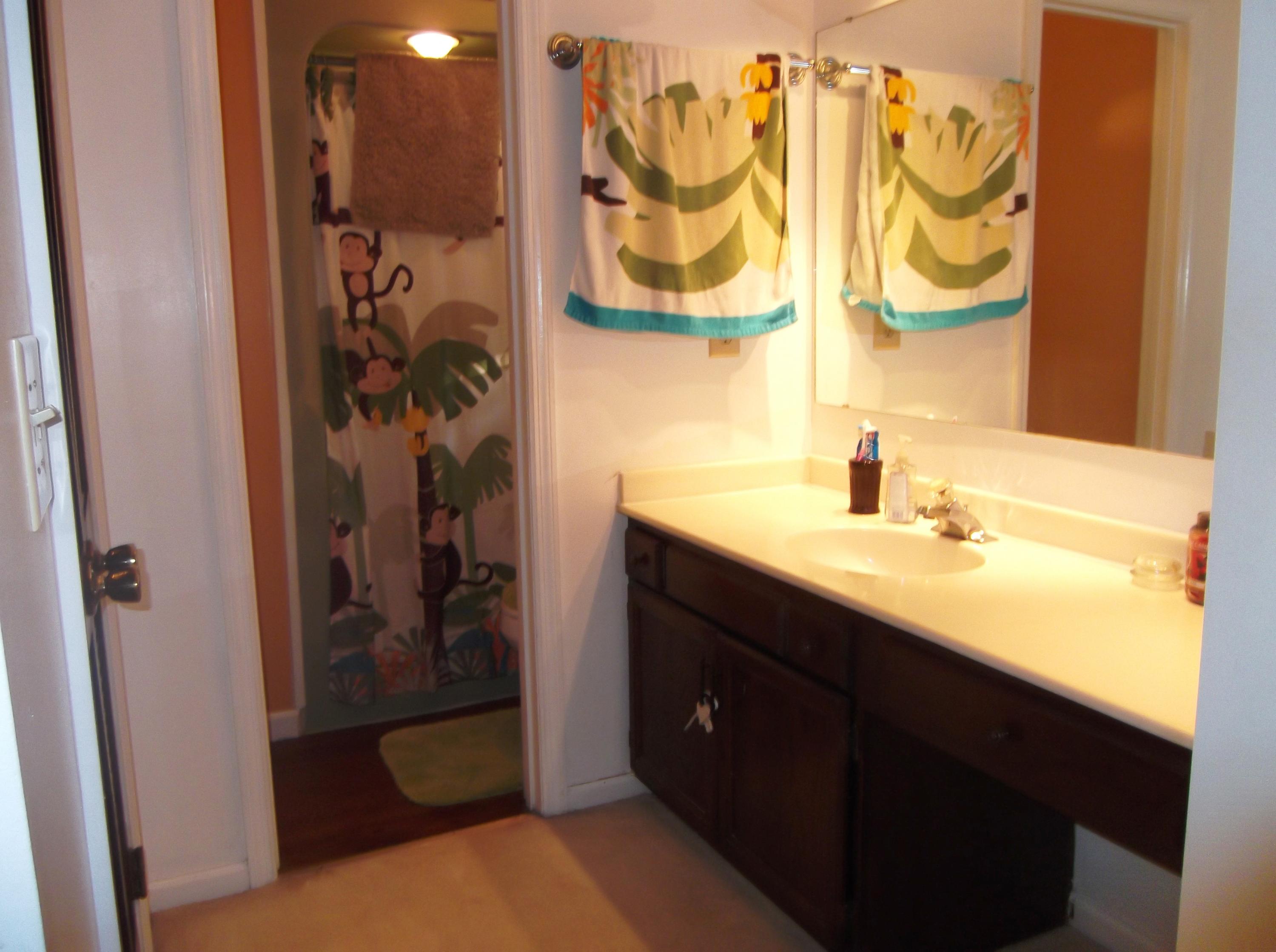 215 Lodgepole Road Ladson, SC 29456 - Photo 14 of 23 215 Lodgepole master bath