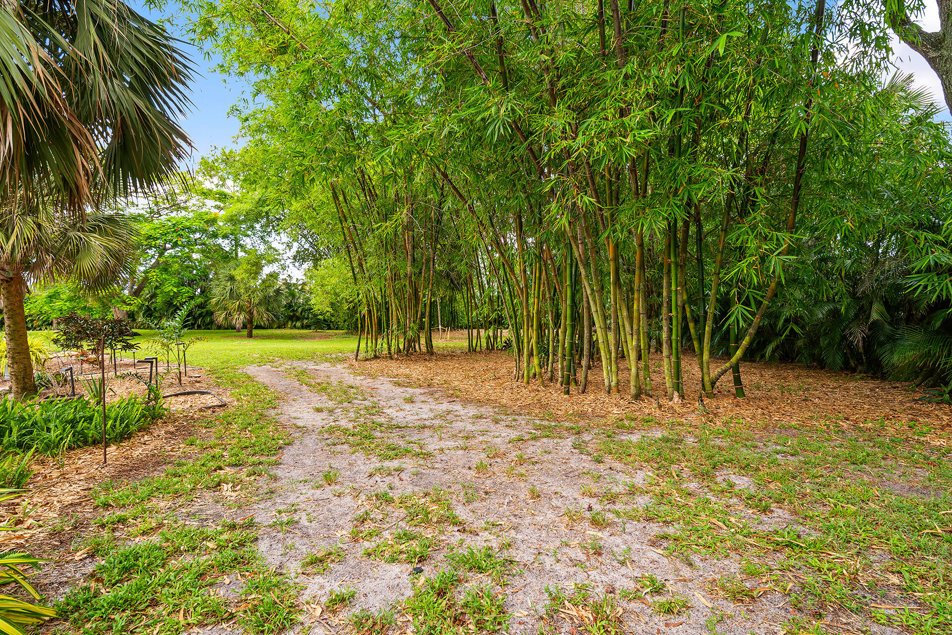6624 Dillman Road Greenacres, FL 33413 - Photo 59 of 77 Bamboo