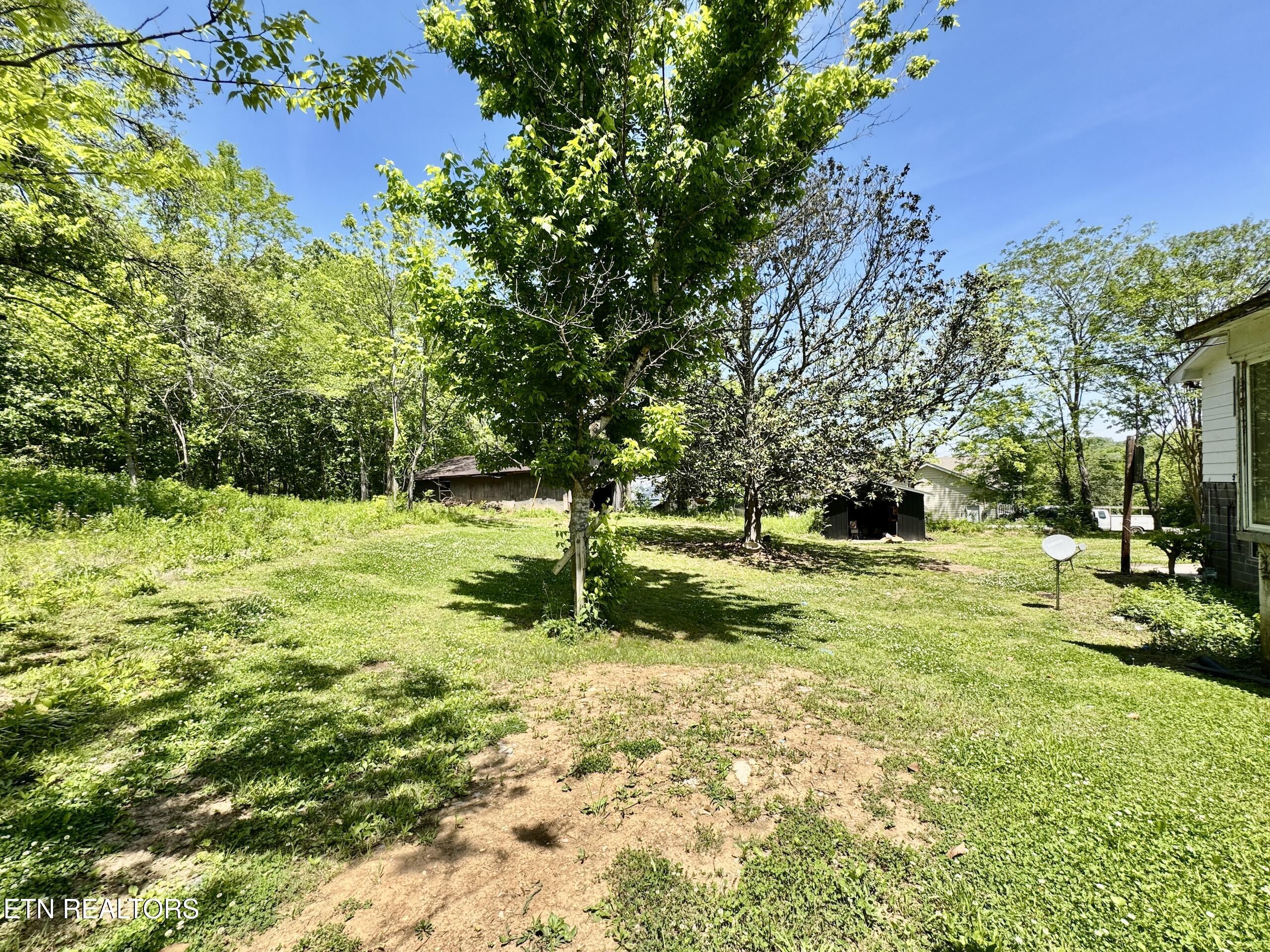 132 Lanes Bluff Road Clinton, TN 37716 - Photo 11 of 48 1-11