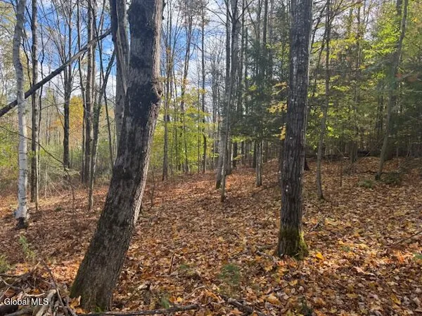 $49,900 | 37 Main Street, Johnsburg, NY 12853