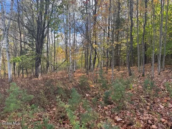 $49,900 | 37 Main Street, Johnsburg, NY 12853