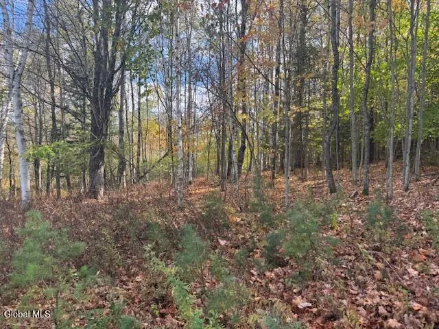 $49,900 | 37 Main Street, Johnsburg, NY 12853