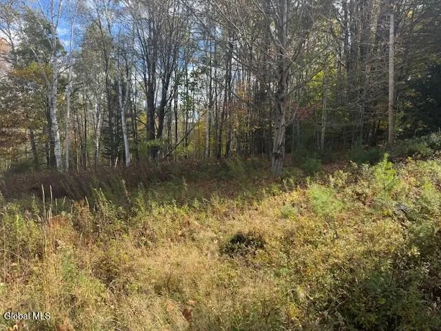 $49,900 | 37 Main Street, Johnsburg, NY 12853