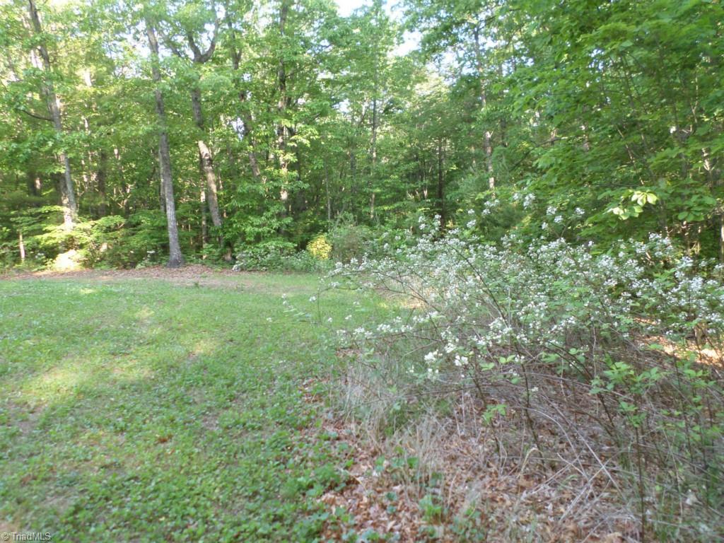 616 Palmer Road Lowgap, NC 27024 - Photo 11 of 13 Gallery Image 11