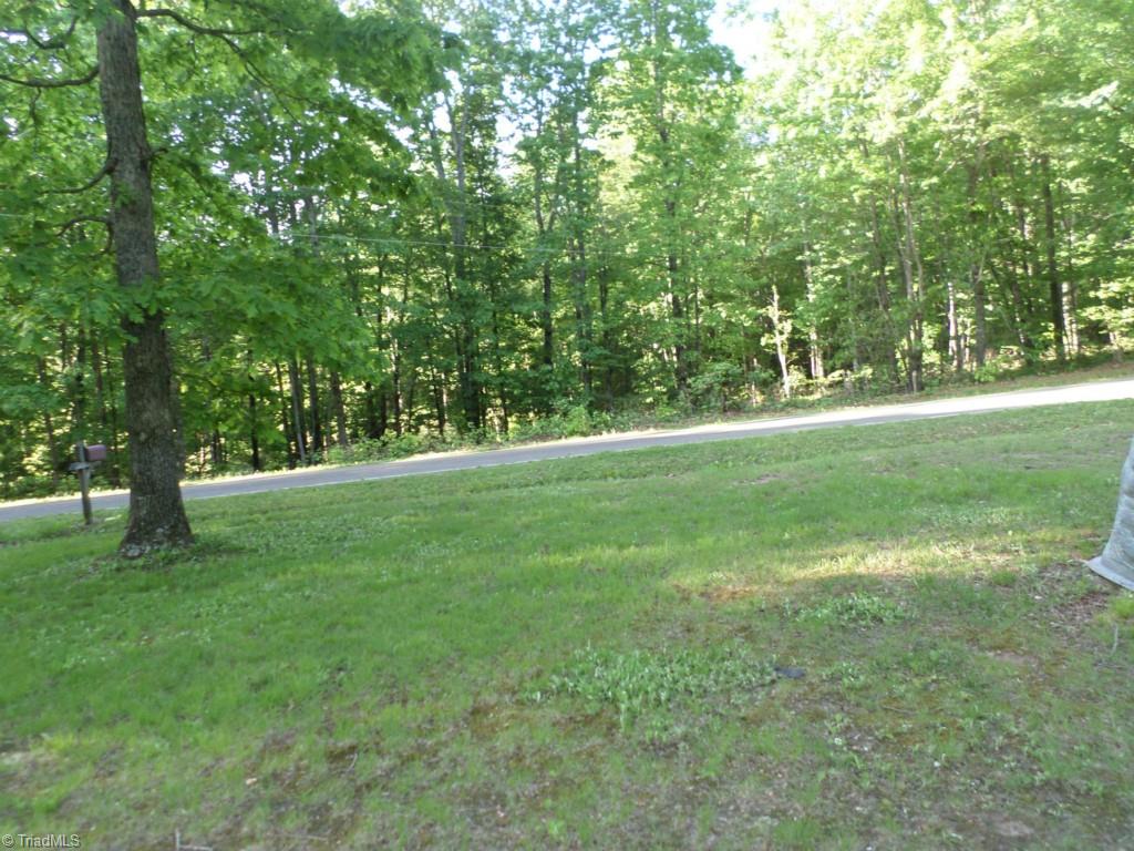 616 Palmer Road Lowgap, NC 27024 - Photo 12 of 13 Gallery Image 12