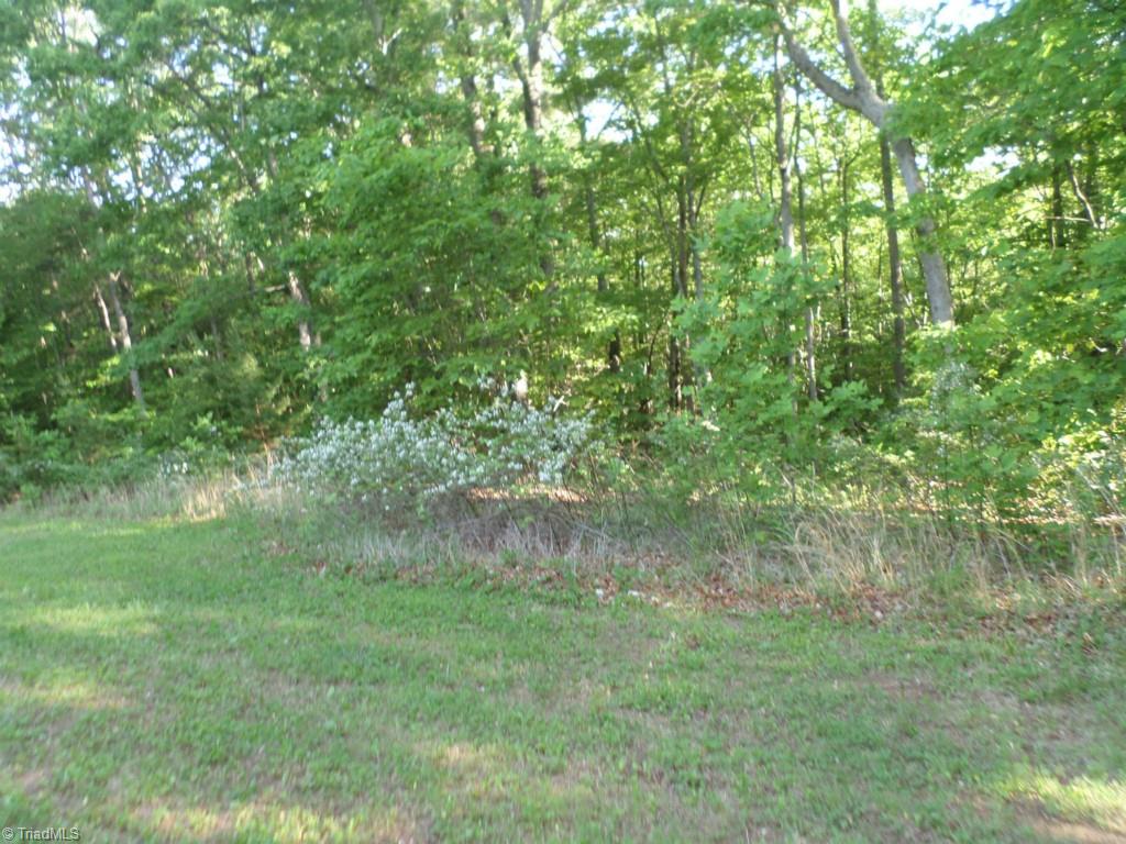 616 Palmer Road Lowgap, NC 27024 - Photo 13 of 13 Gallery Image 13