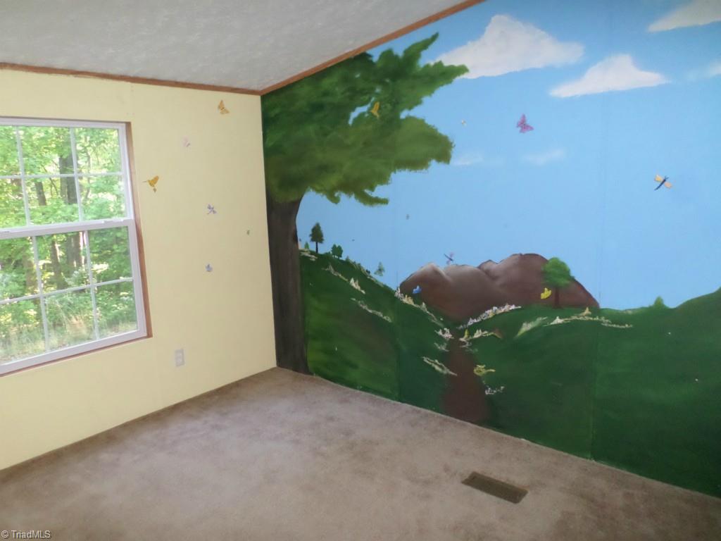 616 Palmer Road Lowgap, NC 27024 - Photo 6 of 13 Gallery Image 6