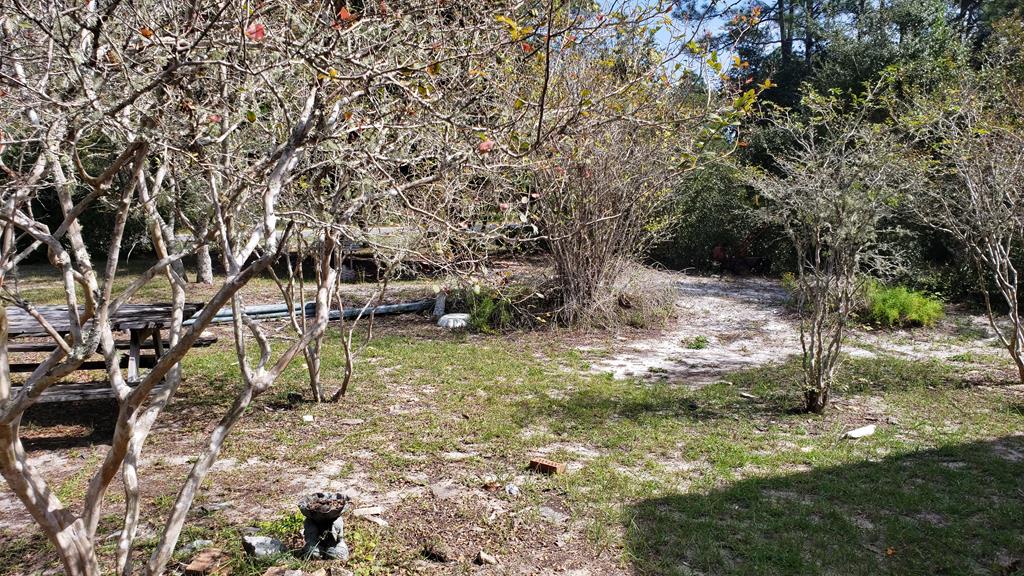 220 River Road Carrabelle, FL 32322 - Photo 17 of 37 Gallery Image 17