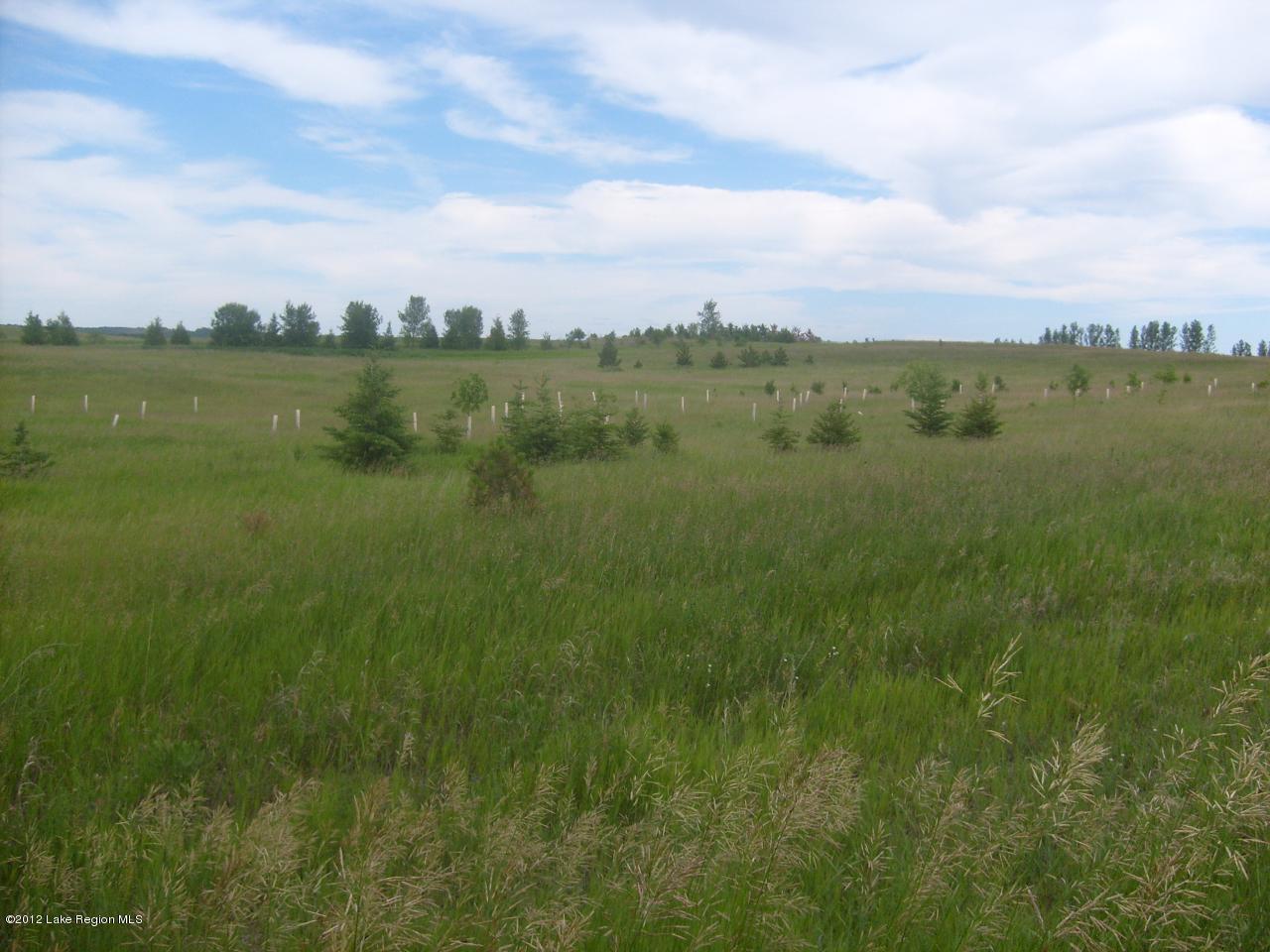24839 East Rivers Bend Road Fergus Falls, MN 56537 - Photo 1 of 1 Gallery Image 1