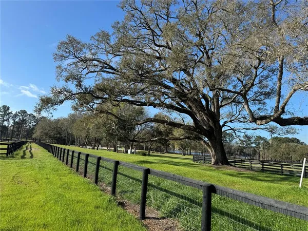 $10,000 | 7115 Northwest Highway 225, Ocala, FL 34482