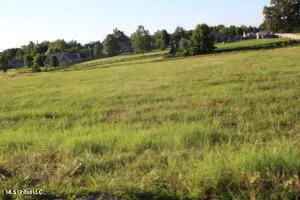 $65,000 | 3 Chapel Hill, Holly Springs, MS 38635